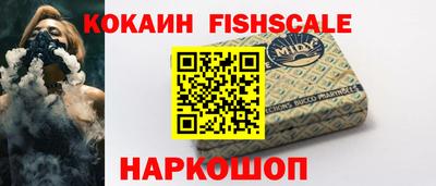 мдпв Камышлов