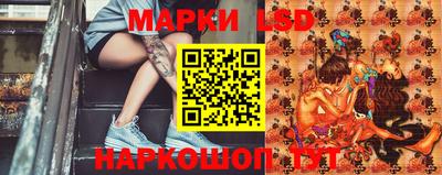 мдпв Камышлов