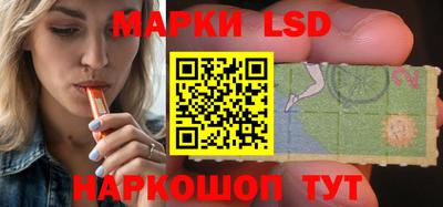 мдпв Камышлов