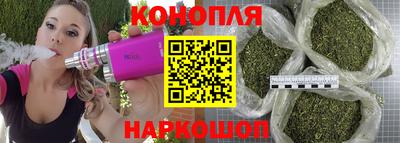 мдпв Камышлов