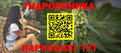 прущие крисы Канаш